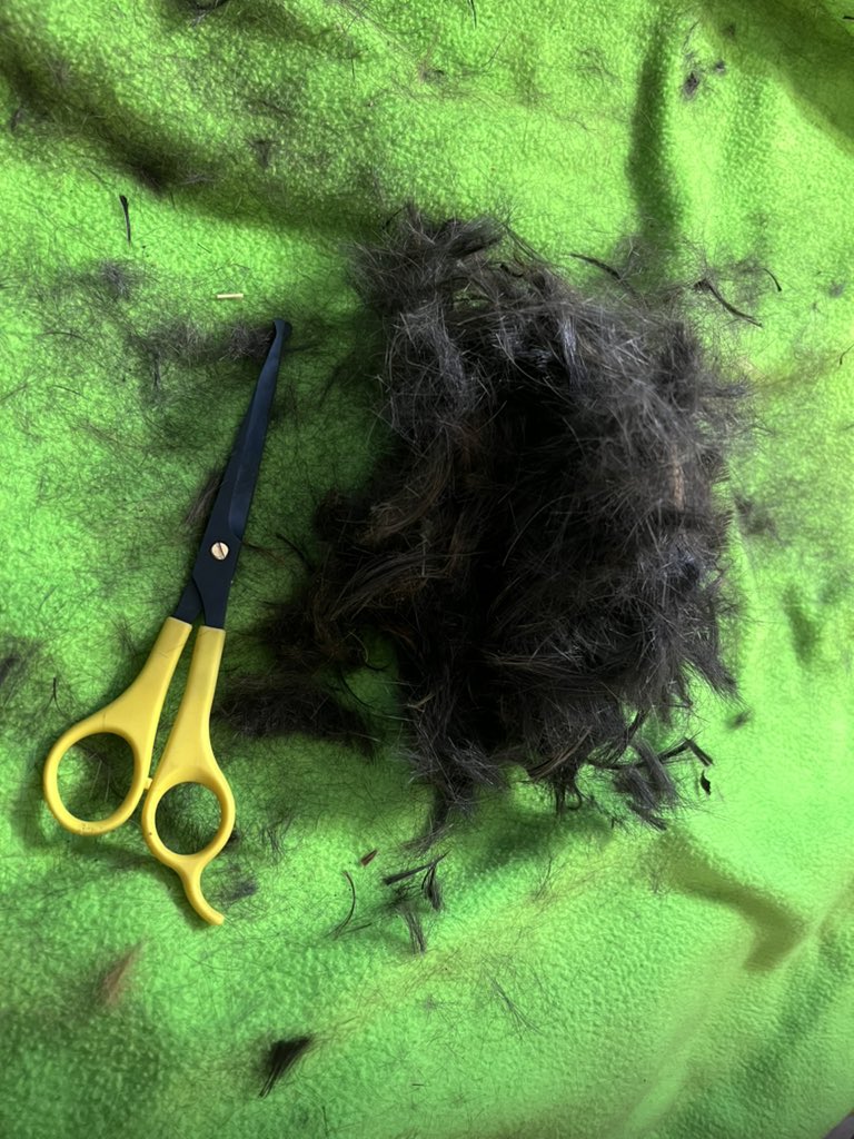 Susan Walker tweet media