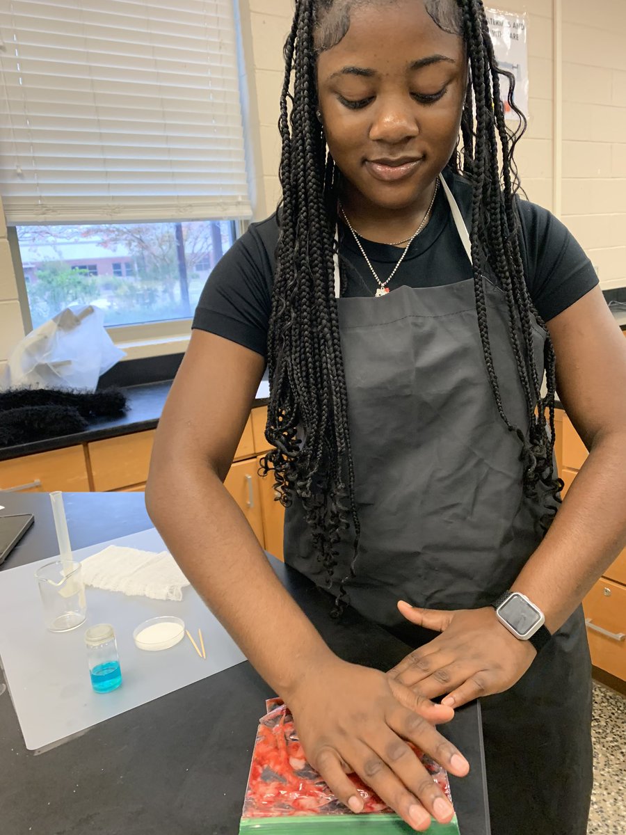 ShimekaD's tweet photo. This past week students completed strawberry DNA extraction lab. #built4bibb #everydayubuntu #southwestblessed @BibbSchools @SWPatriots https://t.co/Z3eu2hNFKH