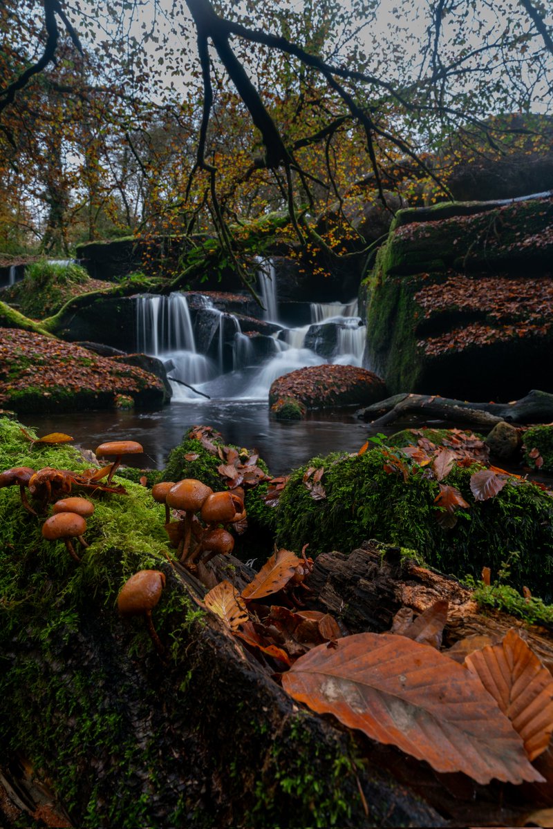 L’automne dans le Finistère.