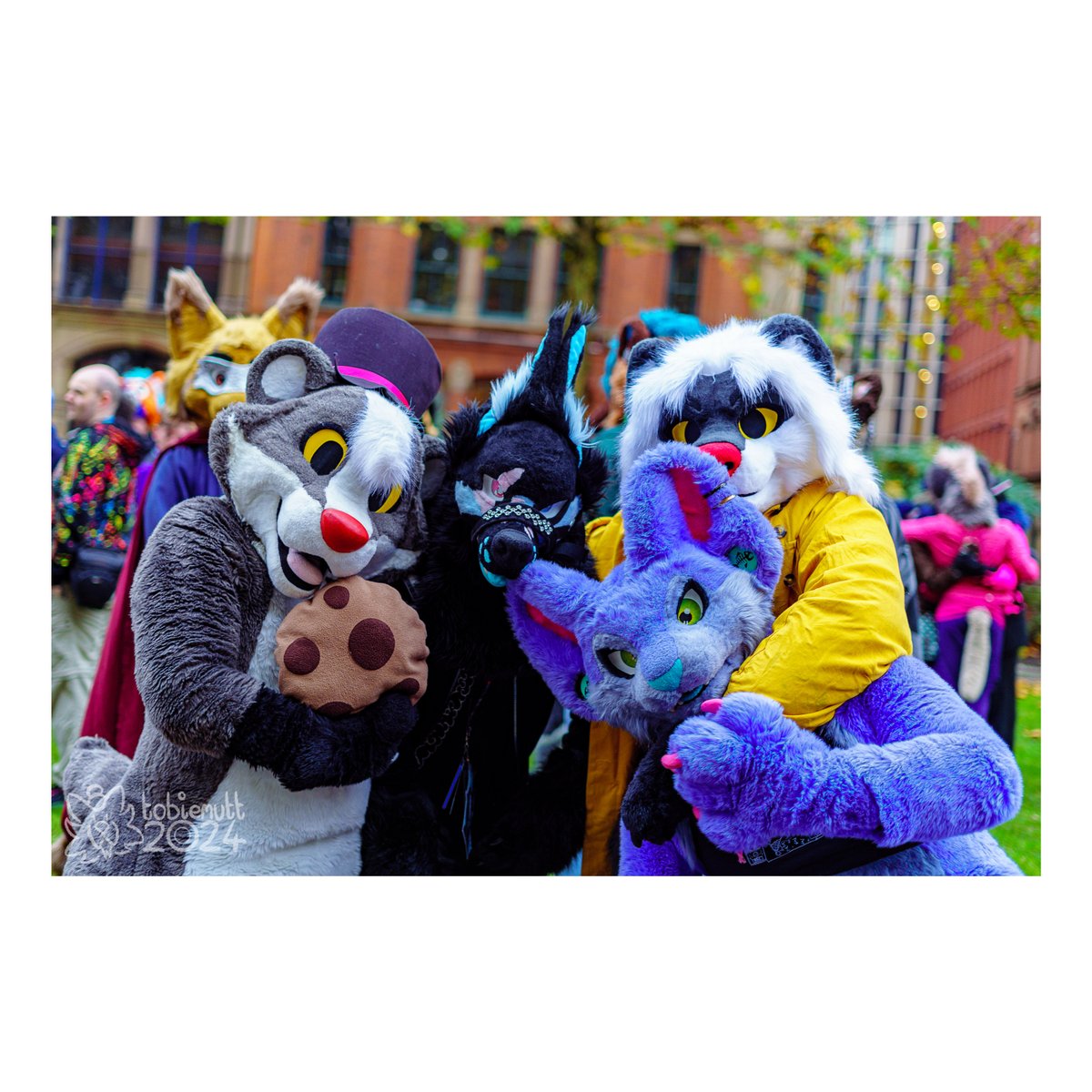 back at it again with another new camera... check out my photos for this month's <a href="/MancFurs/">MancFurs</a> over at the link in my bio!