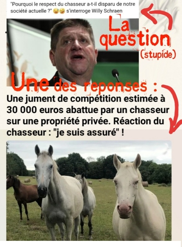 AntiChasse ⒶⓁⒻ tweet media