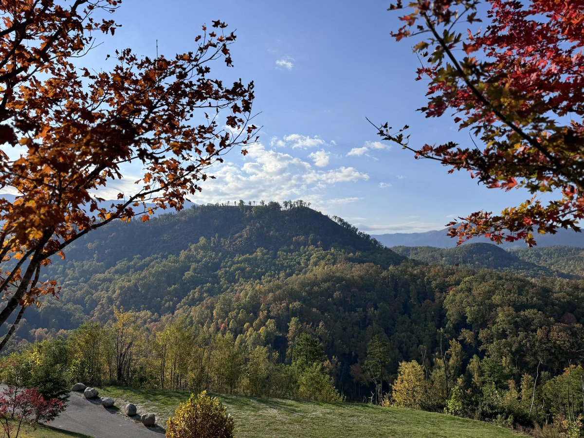 MeetManda's tweet photo. Riding the chondola up to @AnakeestaTN was terrifying, but the views were worth it. #anakeesta #anakeestagatlinburg #tennessee #gatlingburg https://t.co/a2q3VbepZD