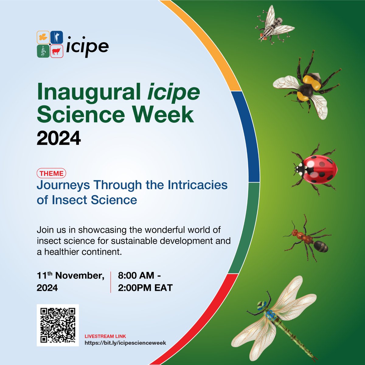 icipe's tweet photo. 🔔The Inagural icipe Science Week 2024! 

Get ready to join us for the Inaugural icipe Science Week 2024 – a unique gathering that highlights a celebration of cutting-edge science, technology and innovations for a healthier Africa and the people behind it!

We’ll explore how insect science is transforming lives and championing food security, human, animal and environmental health.

Be part of the story, alongside experts, stakeholders, and partners from around the globe.🌱🐞

🗓 11th November 2024
⏰8.00 - 2.00

Save the date and join us online using the link below 👉https://t.co/nNVPRNjXMD

#icipeScienceWeek2024 #InsectScience #InnovationForAfrica #HealthyAfrica #ScienceForImpact #Insects