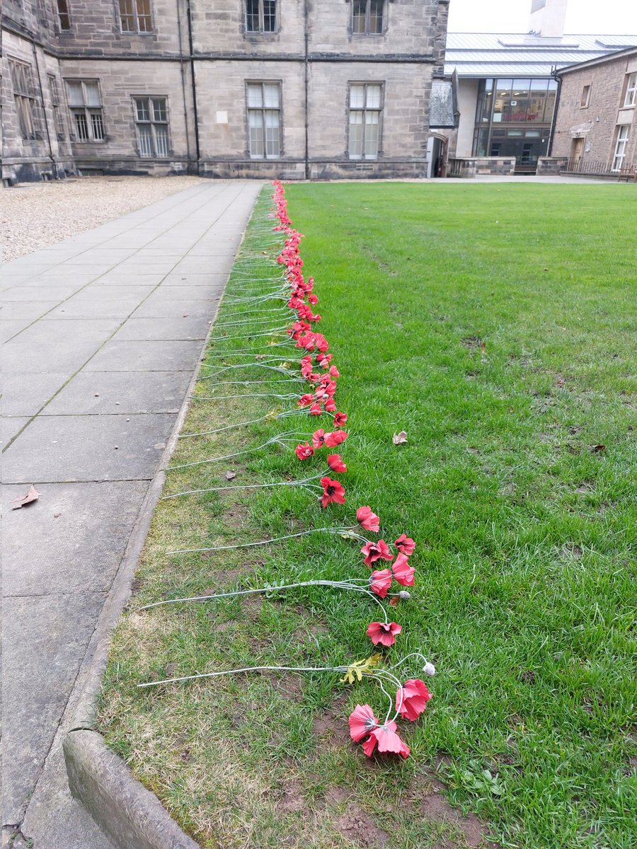 Fettes Humanities tweet media