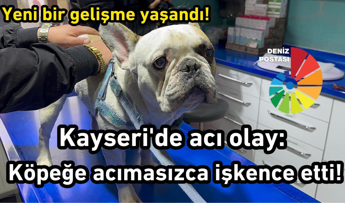 Kayseri'de acı olay: Köpeğe acımasızca işkence etmişti! Yeni bir gelişme yaşandı
denizpostasi.com/kayseride-aci-…

#kayseri #kayserihaber