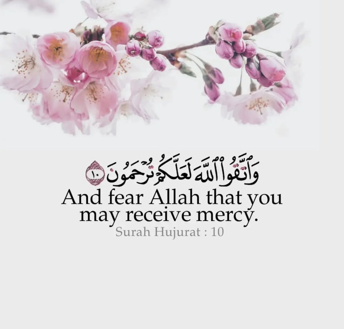 Soldier Of Allah tweet media