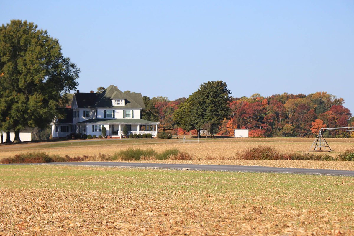 choptankcoop's tweet photo. Happy Sunday! Hopefully we'll get some rain. Either way, it sure has been beautiful out recently. Shout out to our Wicomico County members where these photos were taken. https://t.co/F5eWuyanuI