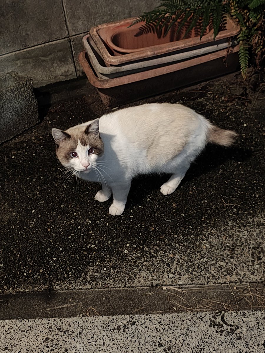 店に寄ってさきほど帰宅しました
雨が小降りになったタイミングで助かった…