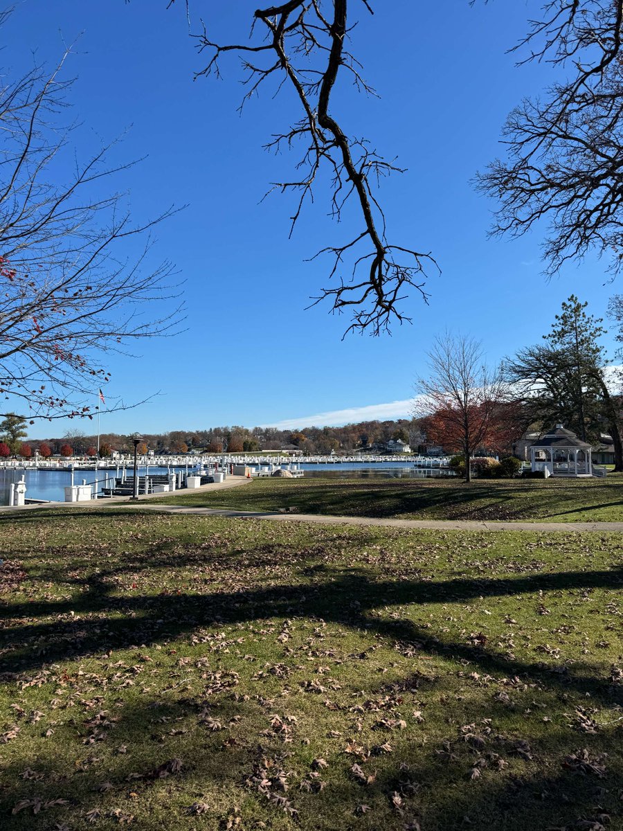 Fall’s almost gone 🍂 The trees around the A-Frame are nearly bare, and the harbor’s still. Soaking up the last quiet moments of the season.