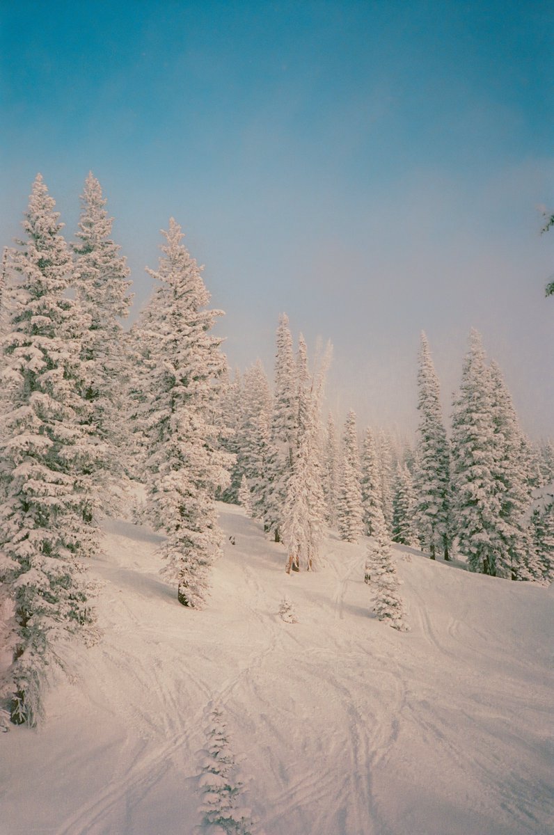 Winter is coming 🎞️