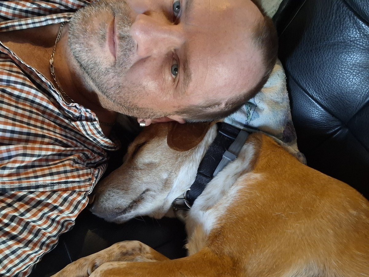 salzschnacker's tweet photo. Couch, Fellnase und Picard. 😌
#Sonntag #Chillmood #Couchtime https://t.co/eV70Ll2uPT