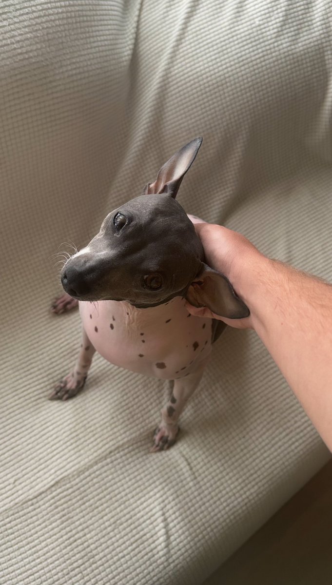 Maddmike (@maddmike_722) on Twitter photo 