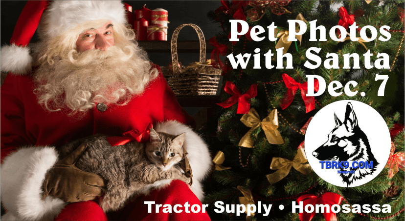 NatureCoaster.com tweet media