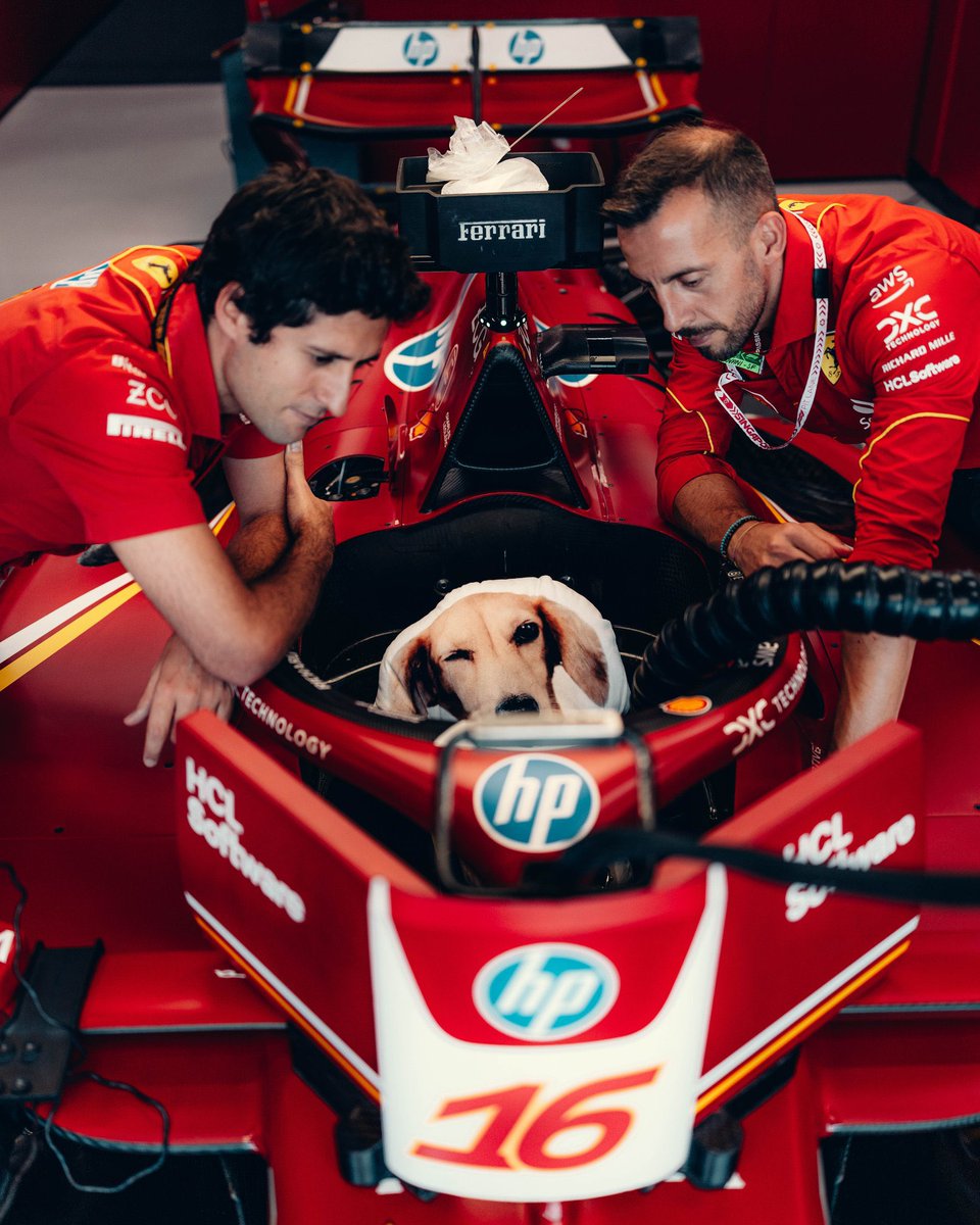 DanniMendiola's tweet photo. ¡Bonito domingo! 😉🐶

📸 [Scuderia Ferrari]

#BabyLeo
#Ferrari https://t.co/AtXiFlSdRB