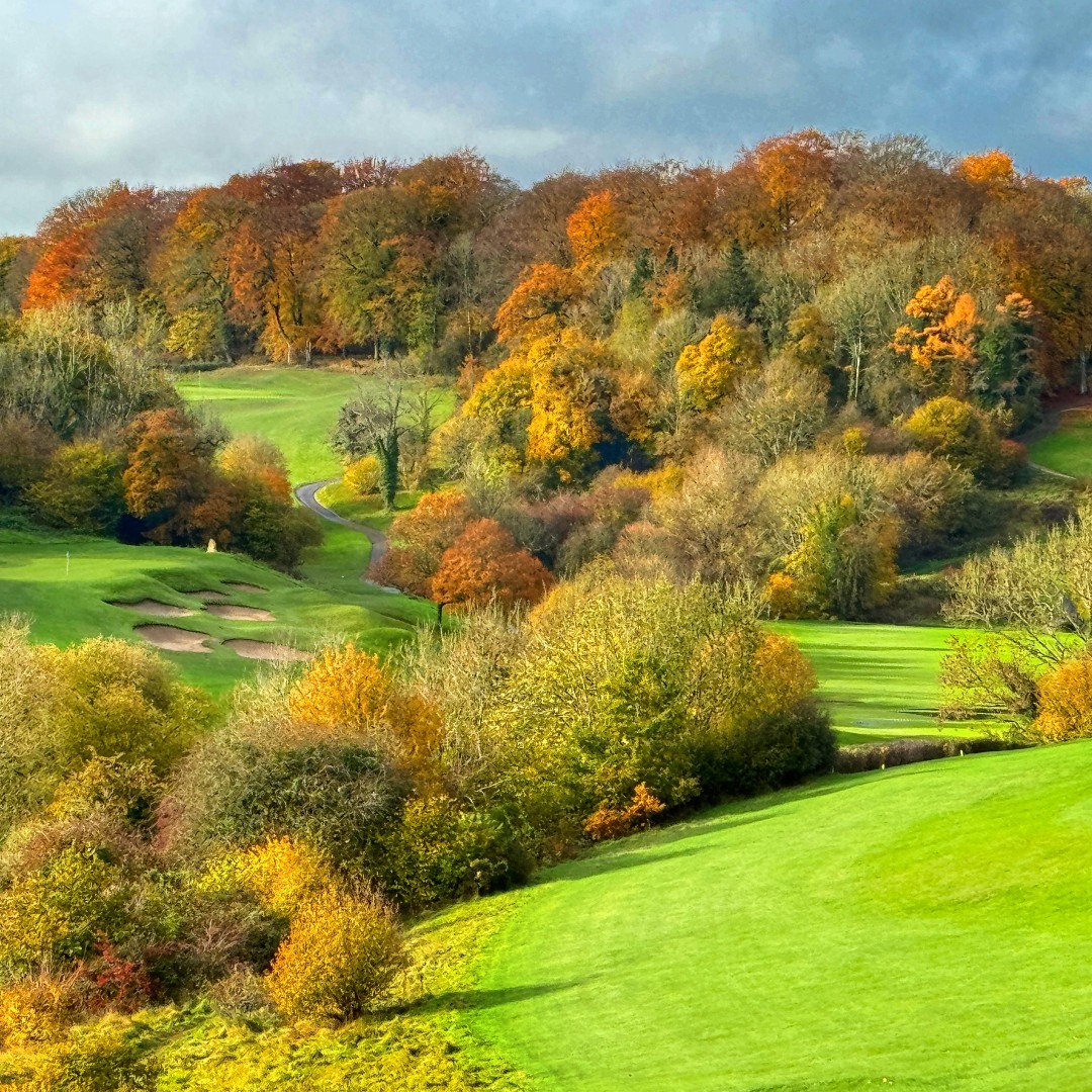 Autumn on the course is stunning 🍂 The colors, the crisp air… we love this season! But keeping up with all those leaves? That’s a workout!

Our greenkeepers are out there daily, making sure the greens stay as clear as possible and playable⛳