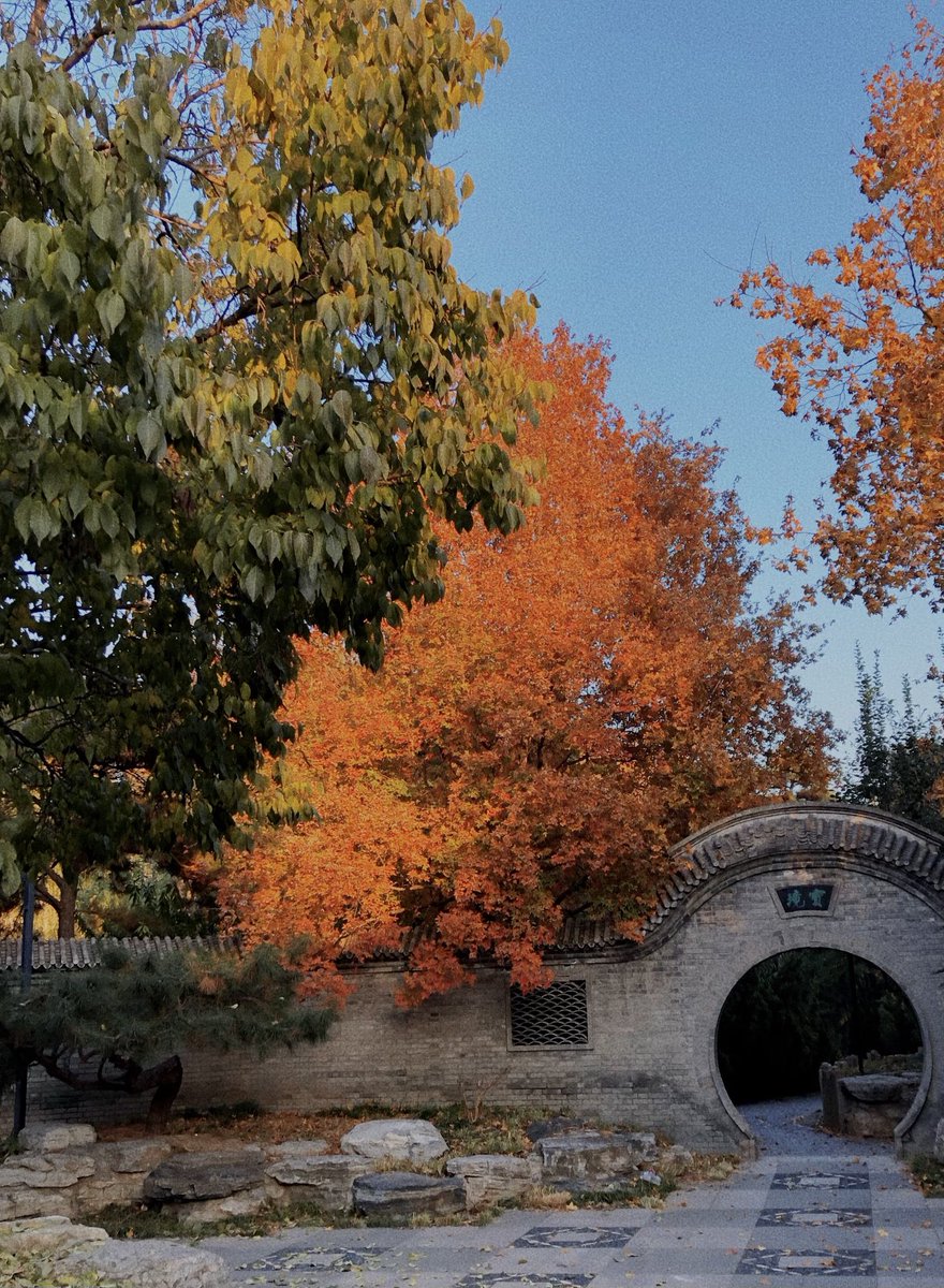 Cointree tweet media