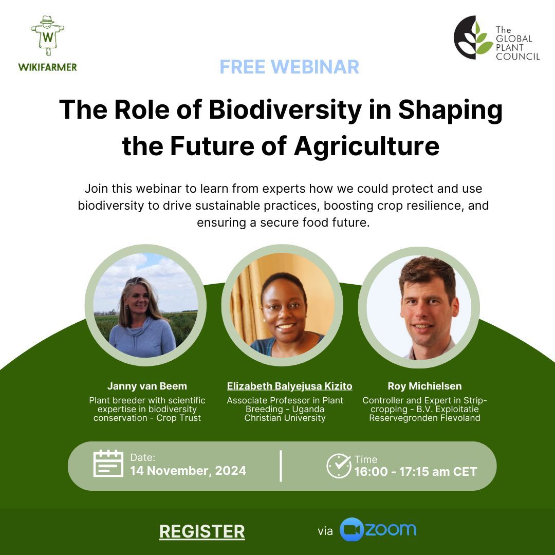The Crop Trust (@croptrust) on Twitter photo 🌱 Join us for a webinar with <a href="/GlobalPlantGPC/">Global Plant Council</a> and <a href="/Wikifarmer_com/">Wikifarmer Official</a>!
The Crop Trust’s Janny van Beem will join a panel of experts to discuss the importance of #cropdiversity for sustainable agriculture and long-term food security.
🔗 Register now: buff.ly/40zPzJz 🌱 Join us for a webinar with <a href="/GlobalPlantGPC/">Global Plant Council</a> and <a href="/Wikifarmer_com/">Wikifarmer Official</a>!
The Crop Trust’s Janny van Beem will join a panel of experts to discuss the importance of #cropdiversity for sustainable agriculture and long-term food security.
🔗 Register now: buff.ly/40zPzJz