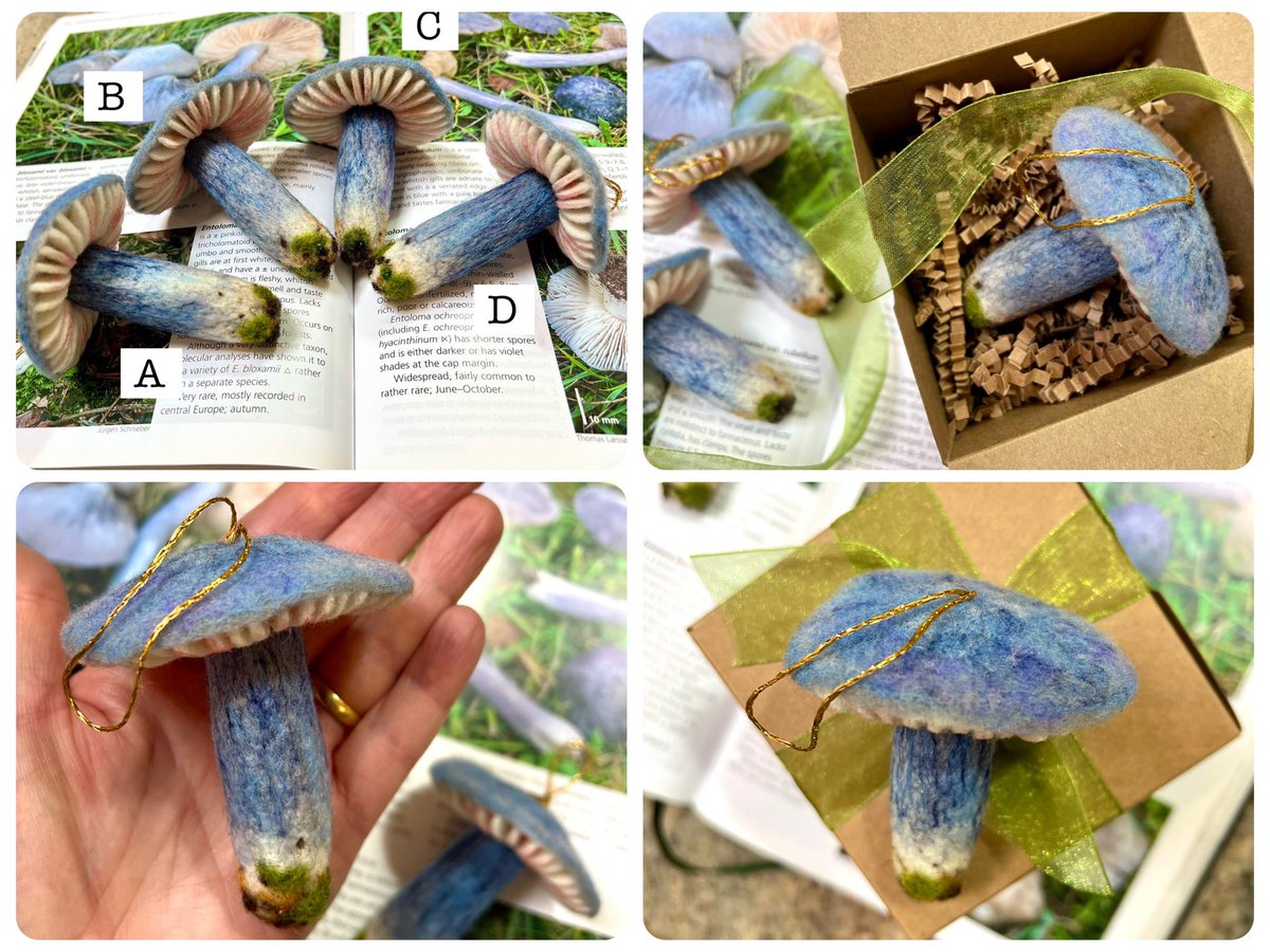 Nature Felts 🍄 tweet media