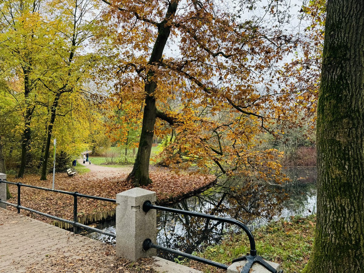 scherders_l's tweet photo. Omdat ik morgen in Kampen moest zijn, een etappe van het #hanzestedenpad gelopen. Van #Zwolle naar #Kampen onder een dik wolkendek gelopen, start Zwolle is mooi, laatste stuk Kampen Top. Ertussen saai, over een langgerekt fietspad. https://t.co/OHHRB5Kjzt