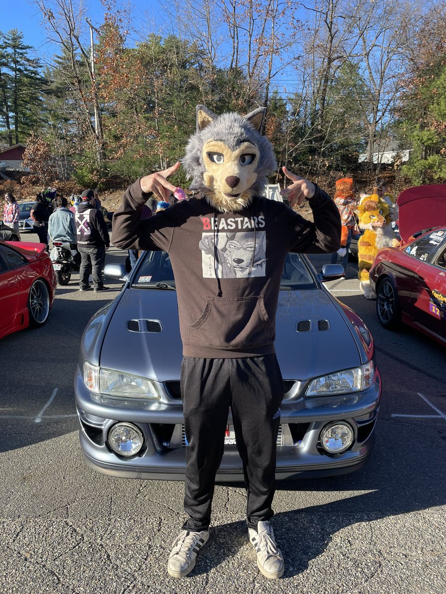 boof_loop's tweet photo. Last show of the season:( #furryfandom #legoshi #beastars #subuwu #FursuitFriday https://t.co/qfdBmxkapT