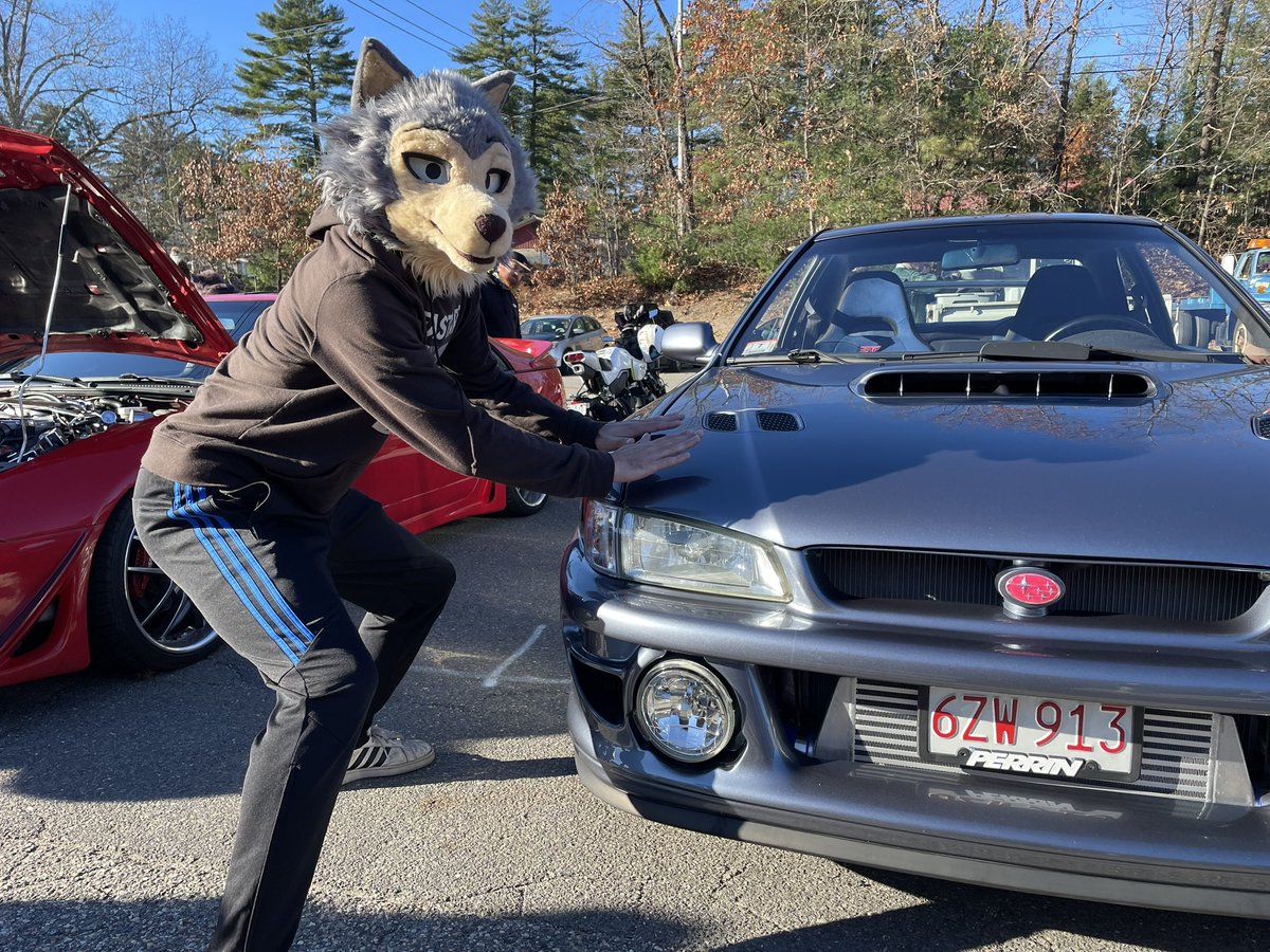 boof_loop's tweet photo. Last show of the season:( #furryfandom #legoshi #beastars #subuwu #FursuitFriday https://t.co/qfdBmxkapT