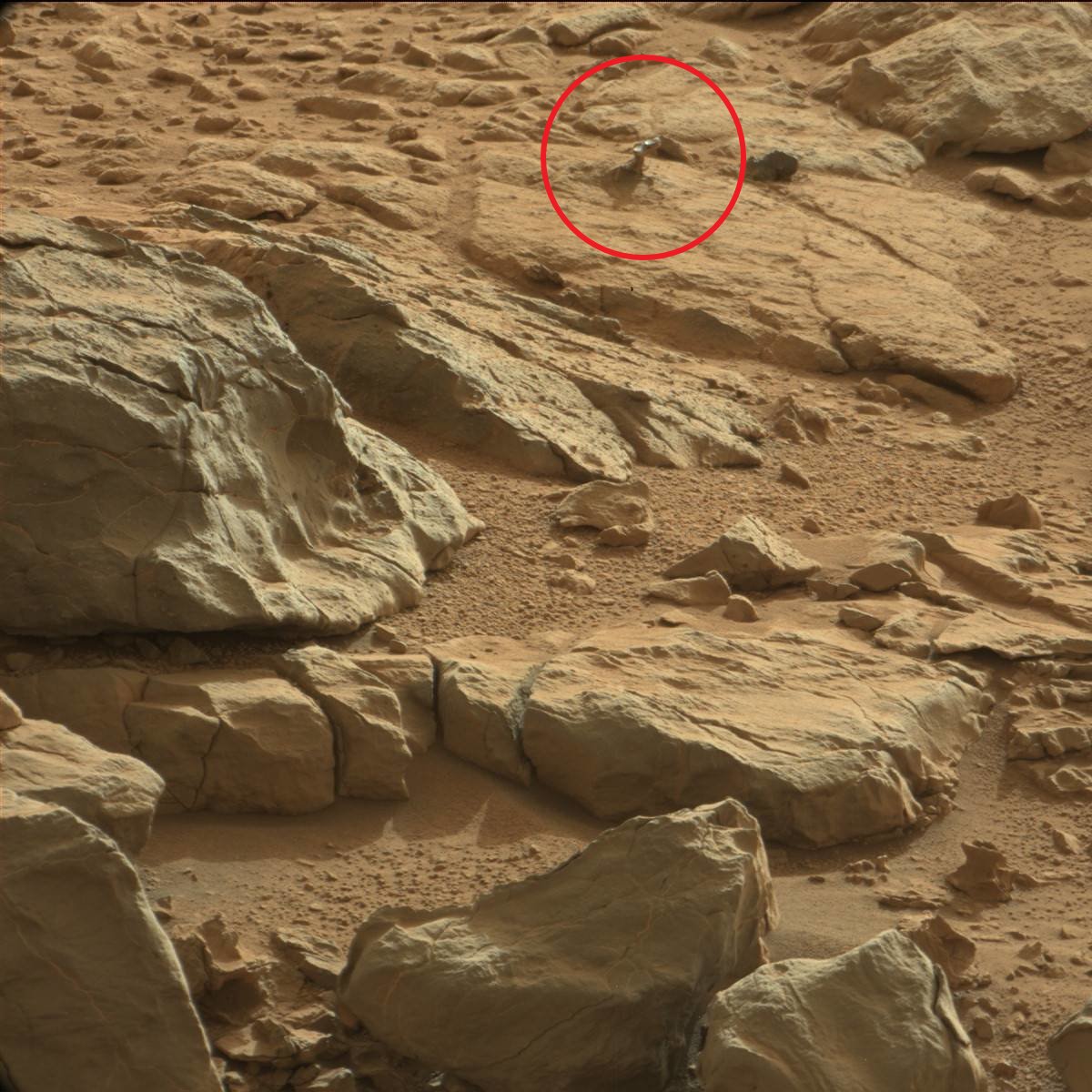 Mira ESTAS inquietantes imágenes de Marte que te dejarán en shock. Al igual que en el anterior hilo... TODAS las fotografías que verás son OFICIALES y puedes verlas en la web de la NASA.

HILO VA!! 🧵