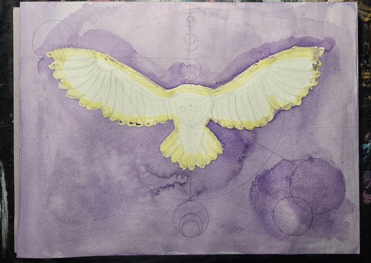 VeiledWorks's tweet photo. Background and base of an owl down. https://t.co/DEo9hy9EYH