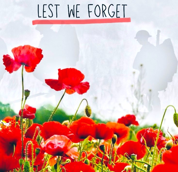 #RememberanceSunday🙏🙏 
#lestweforget2024🌹
