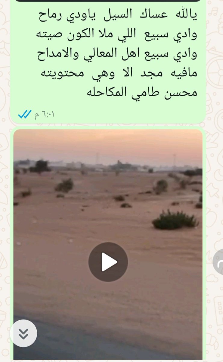 محسن طامي السبيعي (@mmt503) on Twitter photo 