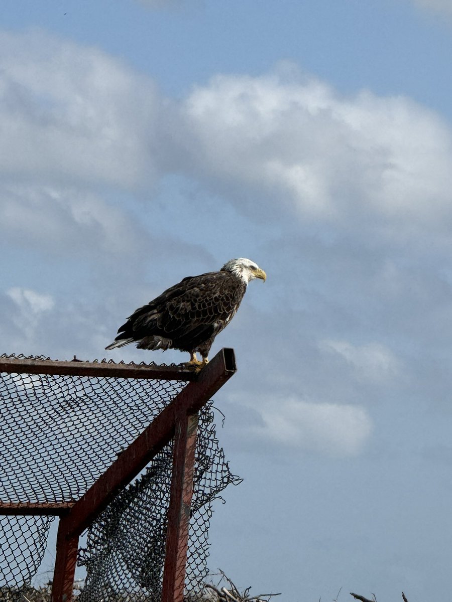 dylan stults tweet media