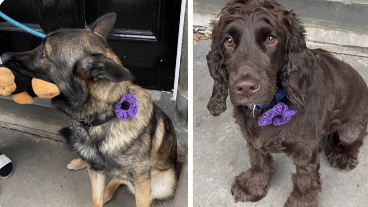 ORidgr's tweet image. 