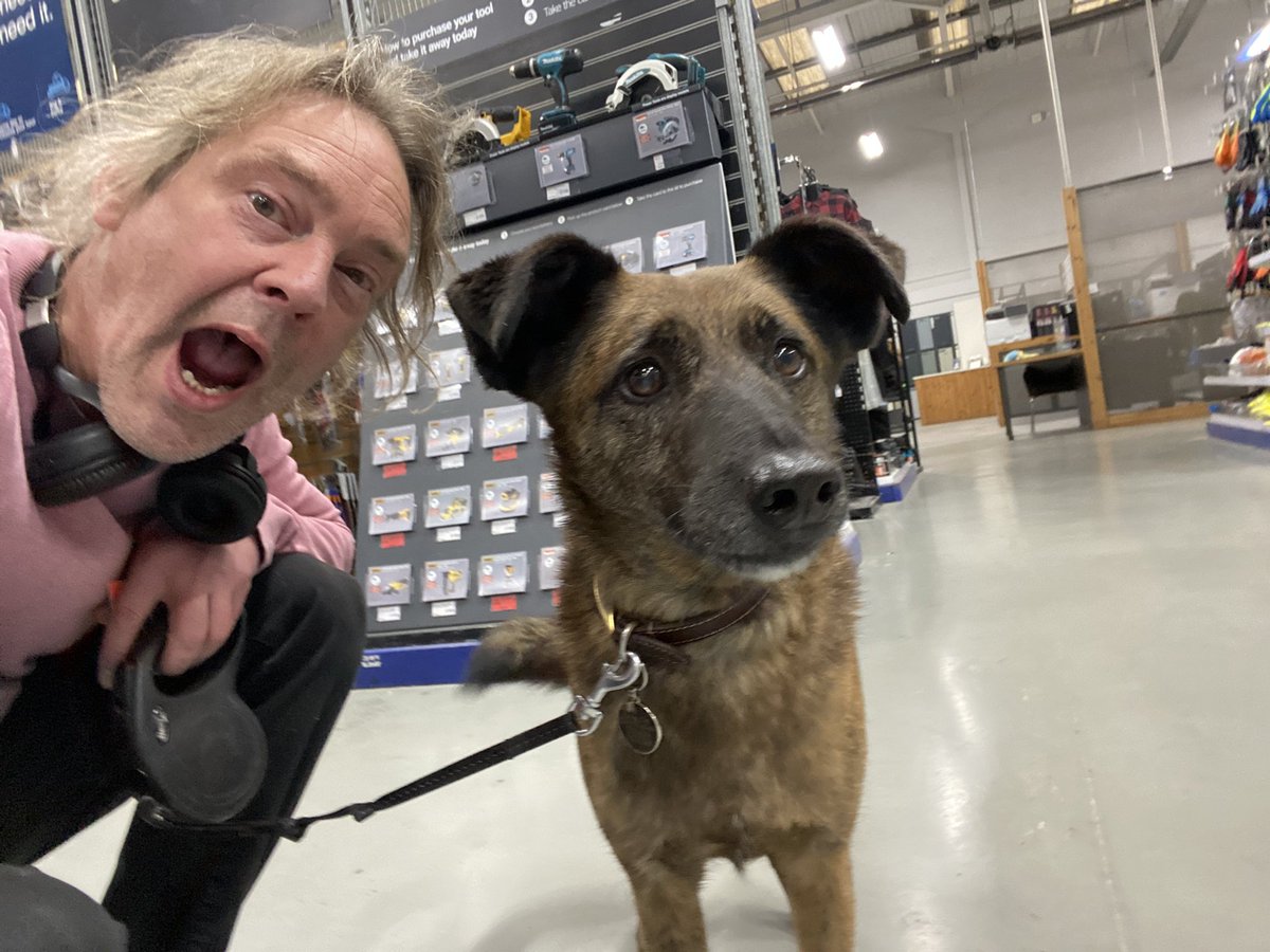 obscureenough's tweet photo. On a mission to take Theo as many places as I can. 

Thanks for being dog friendly @Wickes, and your staff at #Bagually (?) for moving a load of wood to get to what I needed. https://t.co/WTSc1SQcrN