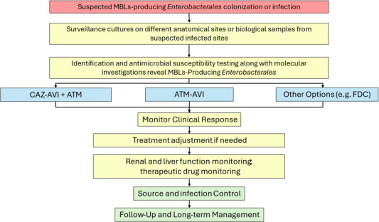 Timothy Li (@drtimothyli) on Twitter photo Proposed algorithm for the management of MBL-producing Enterobacterales <a href="/CMIJournal/">Clinical Microbiology and Infection</a>
doi.org/10.1016/j.cmi.… Proposed algorithm for the management of MBL-producing Enterobacterales <a href="/CMIJournal/">Clinical Microbiology and Infection</a>
doi.org/10.1016/j.cmi.…