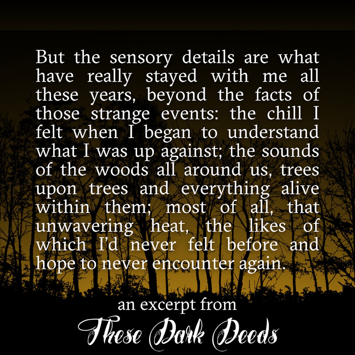 Melissa Bobe tweet media