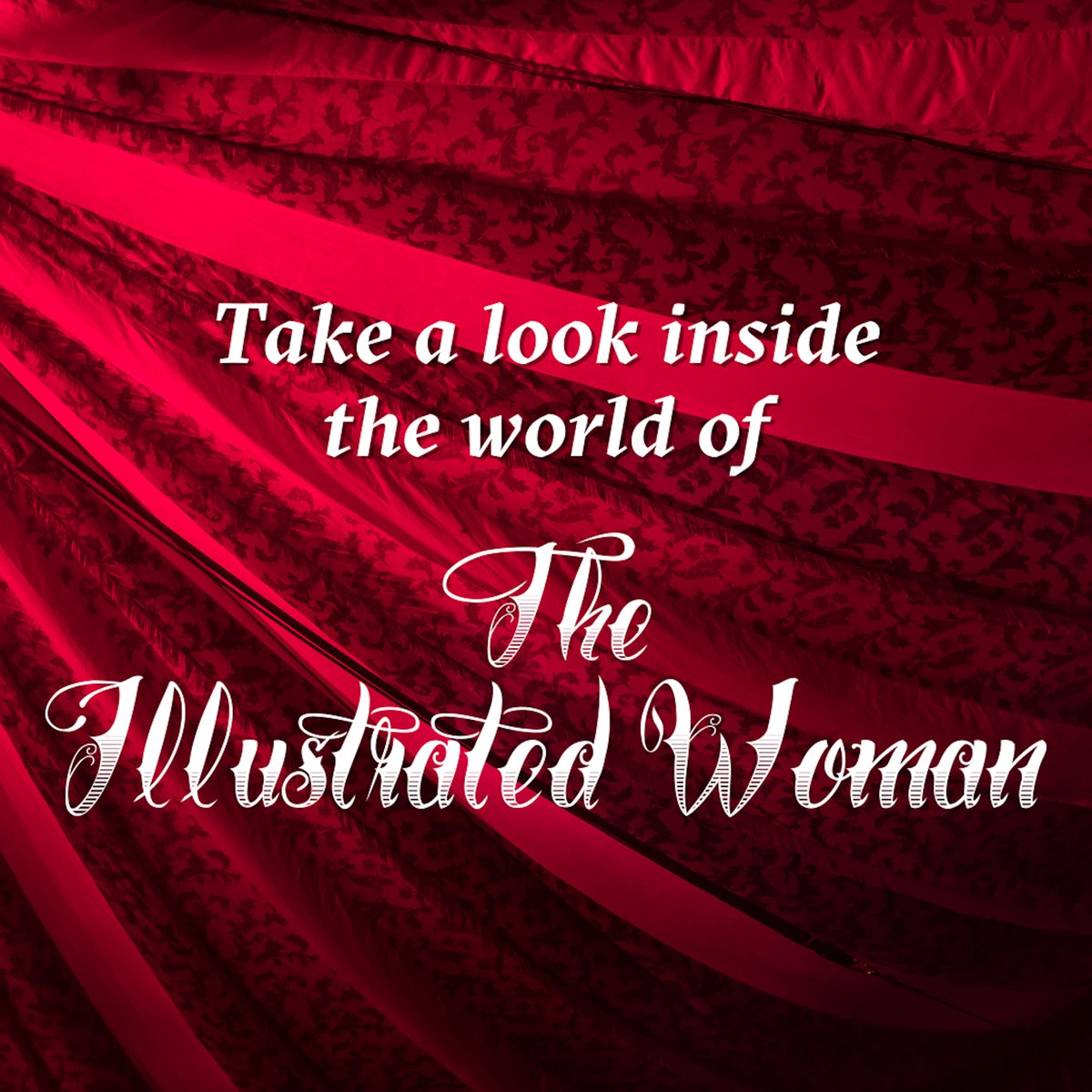 Melissa Bobe tweet media