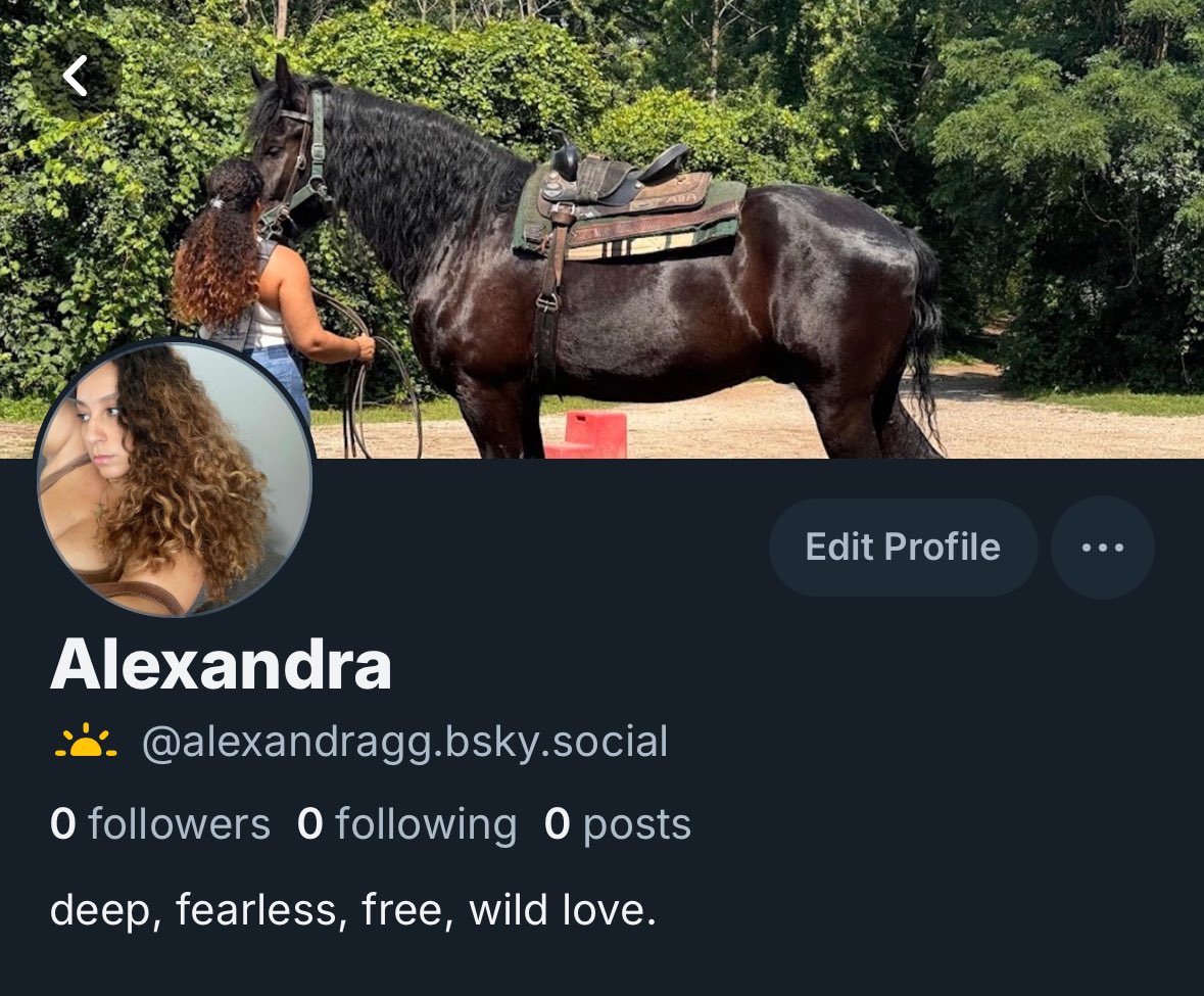 ALEXANDRA tweet media