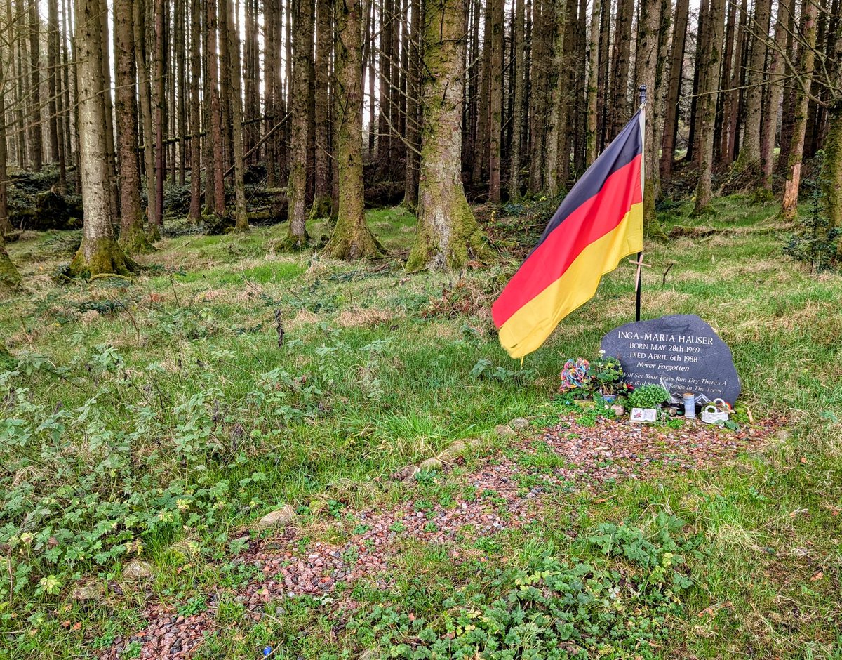 annlizkelly's tweet photo. The sadness of Ballypatrick Forest 💔 #IngaMariaHauser https://t.co/KuH0N9WX6Z