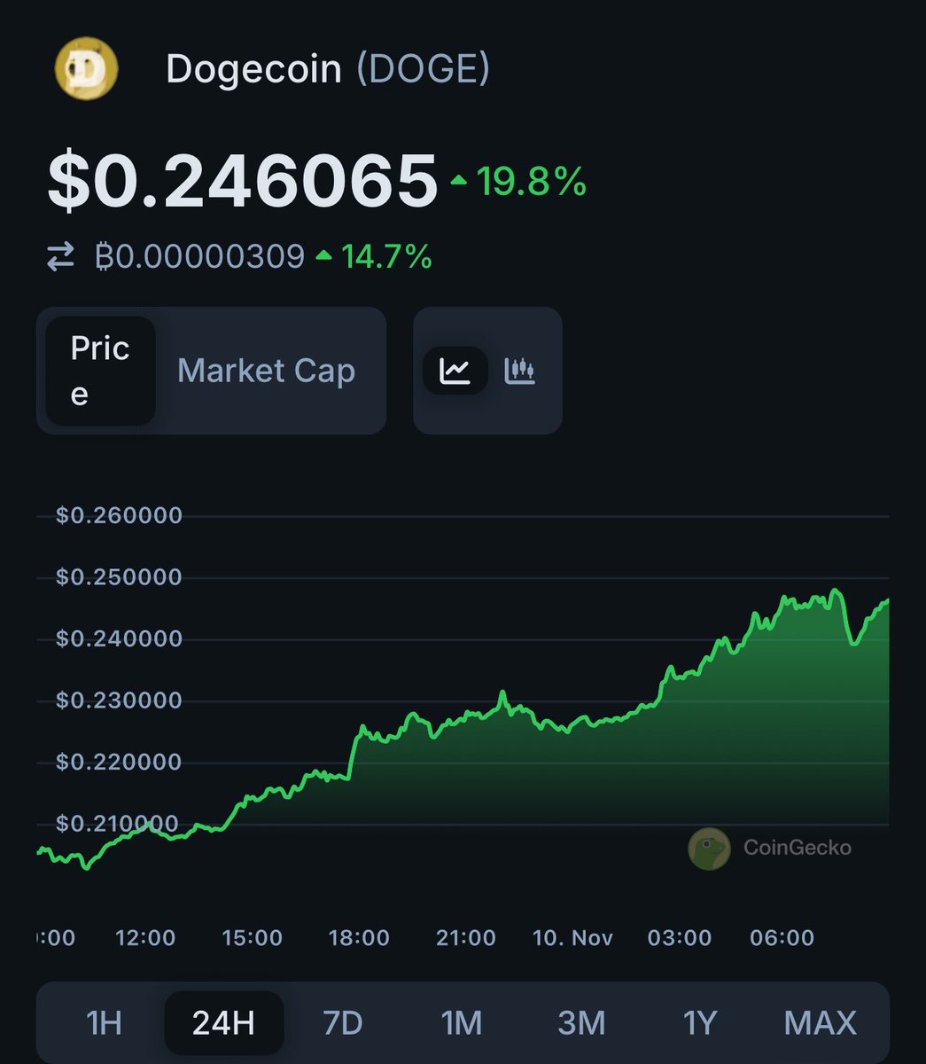 🚀 Check out Dogecoin $DOGE prices @CoinGecko!✨🦎 coingecko.com/en/coins/dogec…