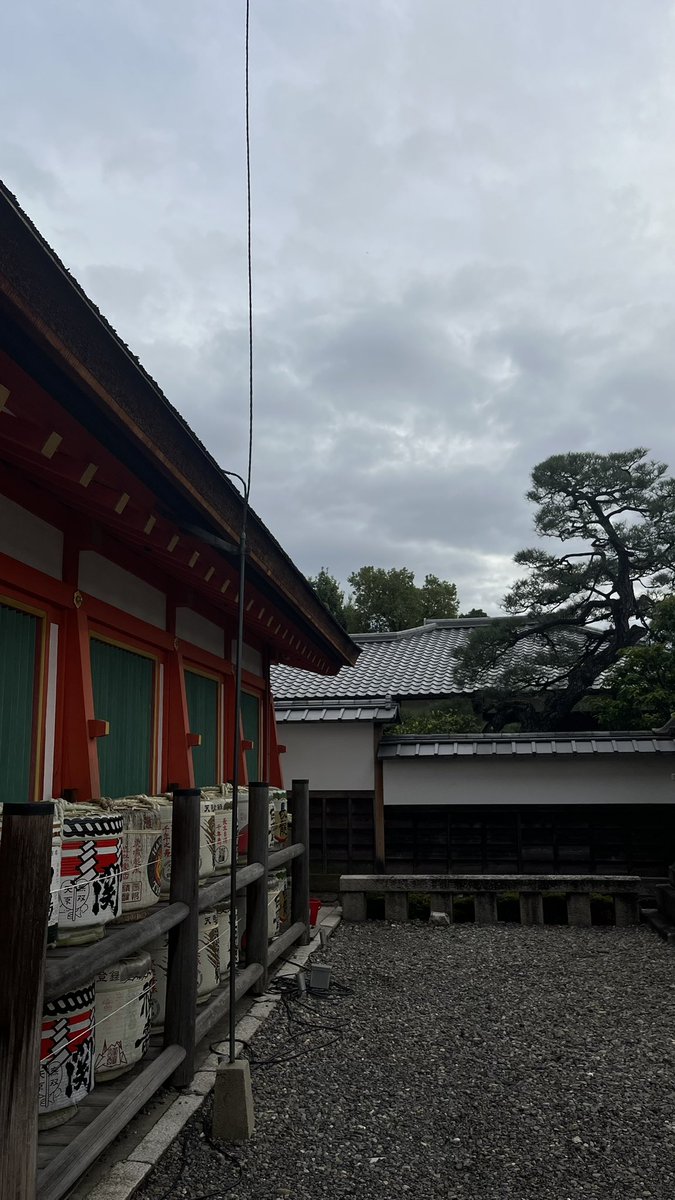 3lleet's tweet image. يوم في كيوتو 🏯🇯🇵