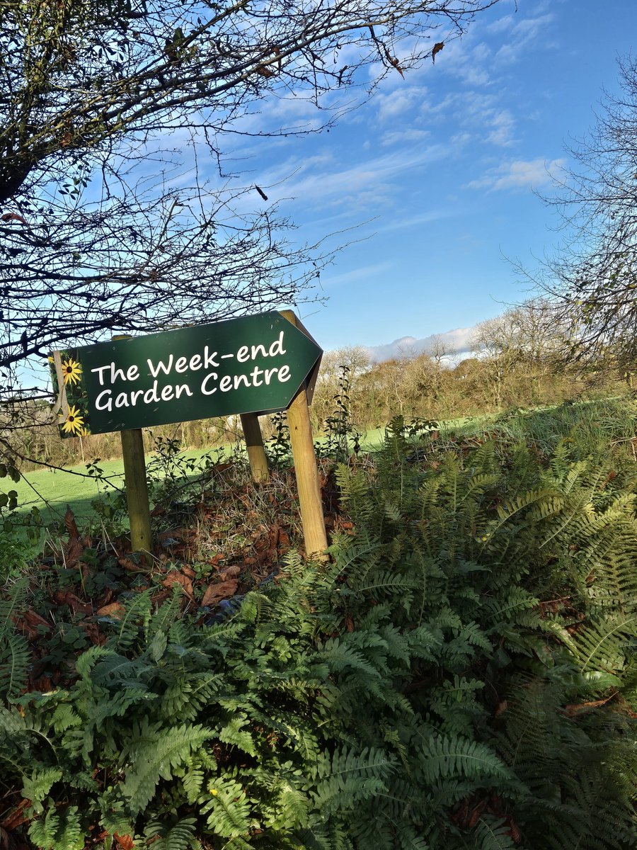 John Hosford (@weekendgardence) on Twitter photo 