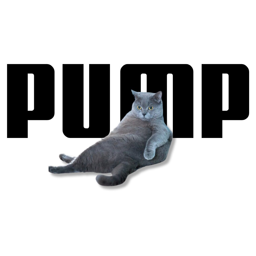 Criptoeinvestor's tweet photo. @Blackpanthercal @IcedKnife $PUMP Don't get lazy! Get pumped! https://t.co/RQyE4w30tQ