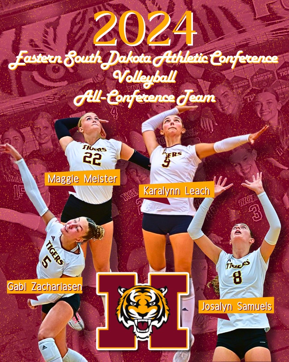 HHStigerVball's tweet photo. Congratulations Tigers!   So much talent all on one team! https://t.co/NY99A28cvN
