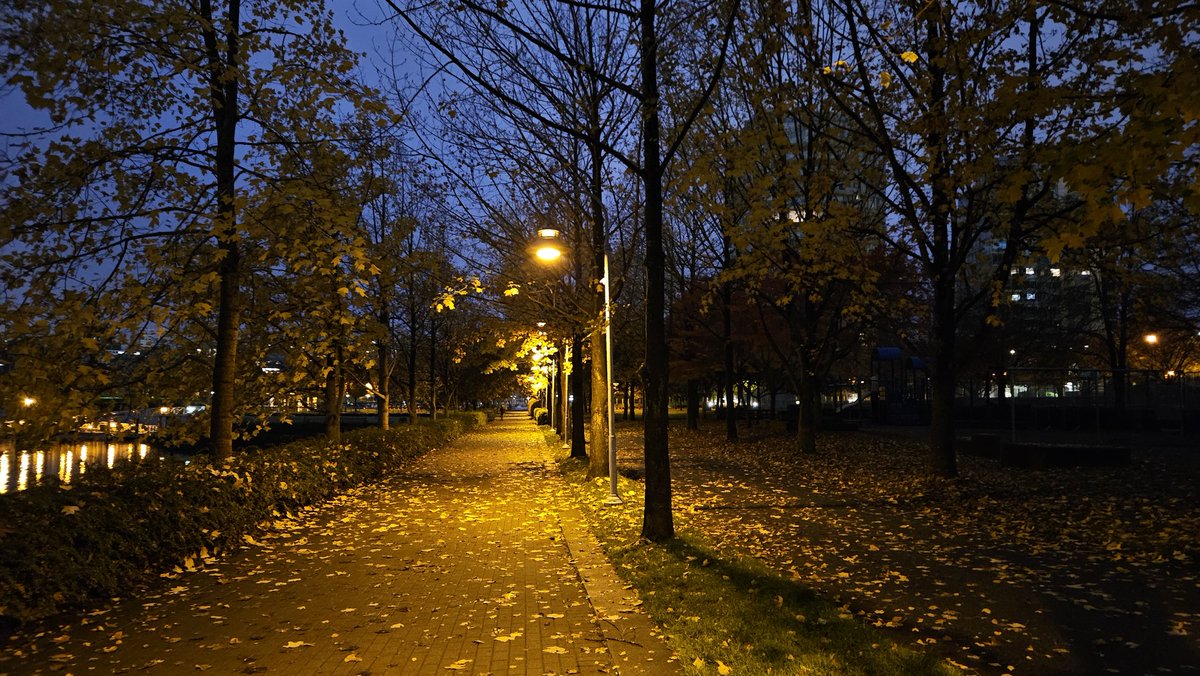 TriciaBarker49's tweet photo. Good morning Vancouver
#pickhappy #keepwalking https://t.co/2FmilBd6sz