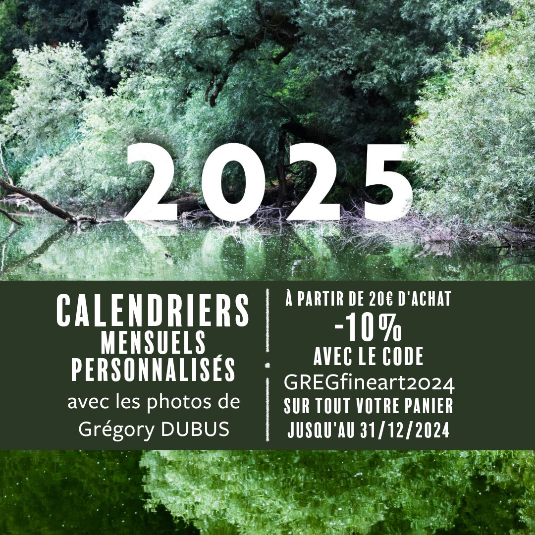 Gregory_DUBUS's tweet photo. L'année 2025 approche à grand pas et les fêtes aussi : besoin d'une idée cadeau ? Un calendrier mensuel unique à poser sur votre bureau ou accrocher au mur l'année prochaine https://t.co/Uq9oaTiHqG
Contactez moi pour obtenir toutes les photos que vous souhaitez. https://t.co/4MoYc0cYfM