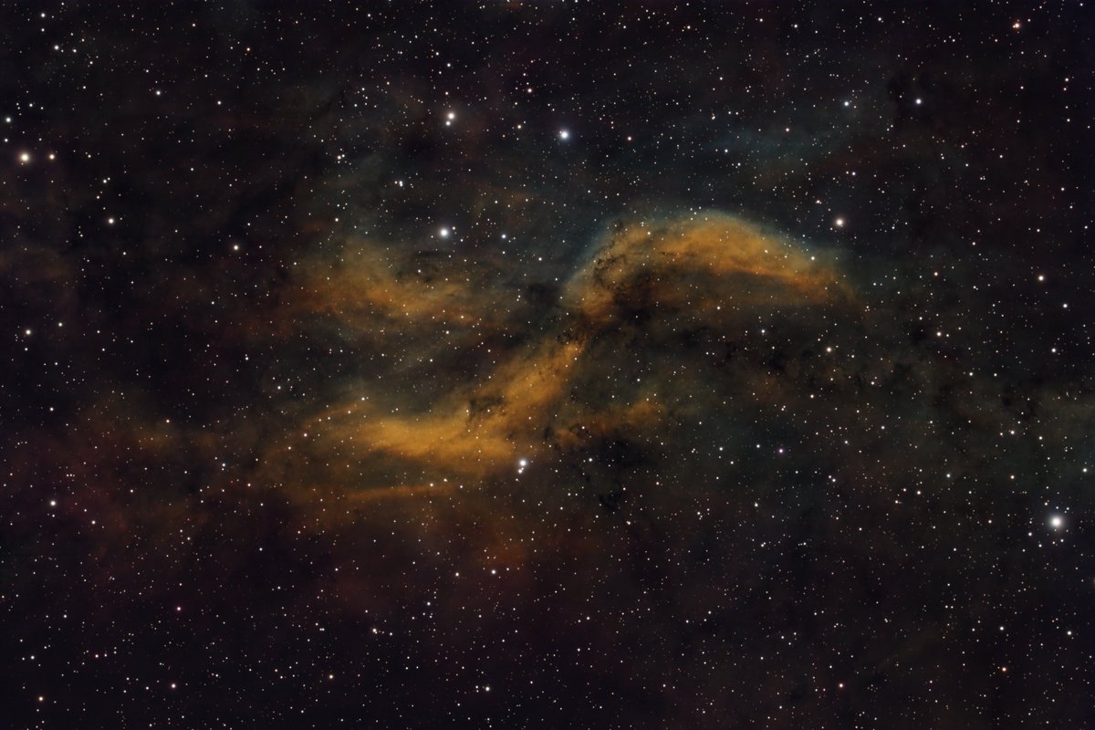 BFlachsbart's tweet photo. DWB 111 The Propeller Nebula captured from my patio on nine nights between August and September 😊🔭

This was shot on the EdgeHD 8 for a total integration time of about 45 hours in Mono using narrowband filters and an OSC cam for the stars.

#Astrophotography https://t.co/p79ok8yQfQ