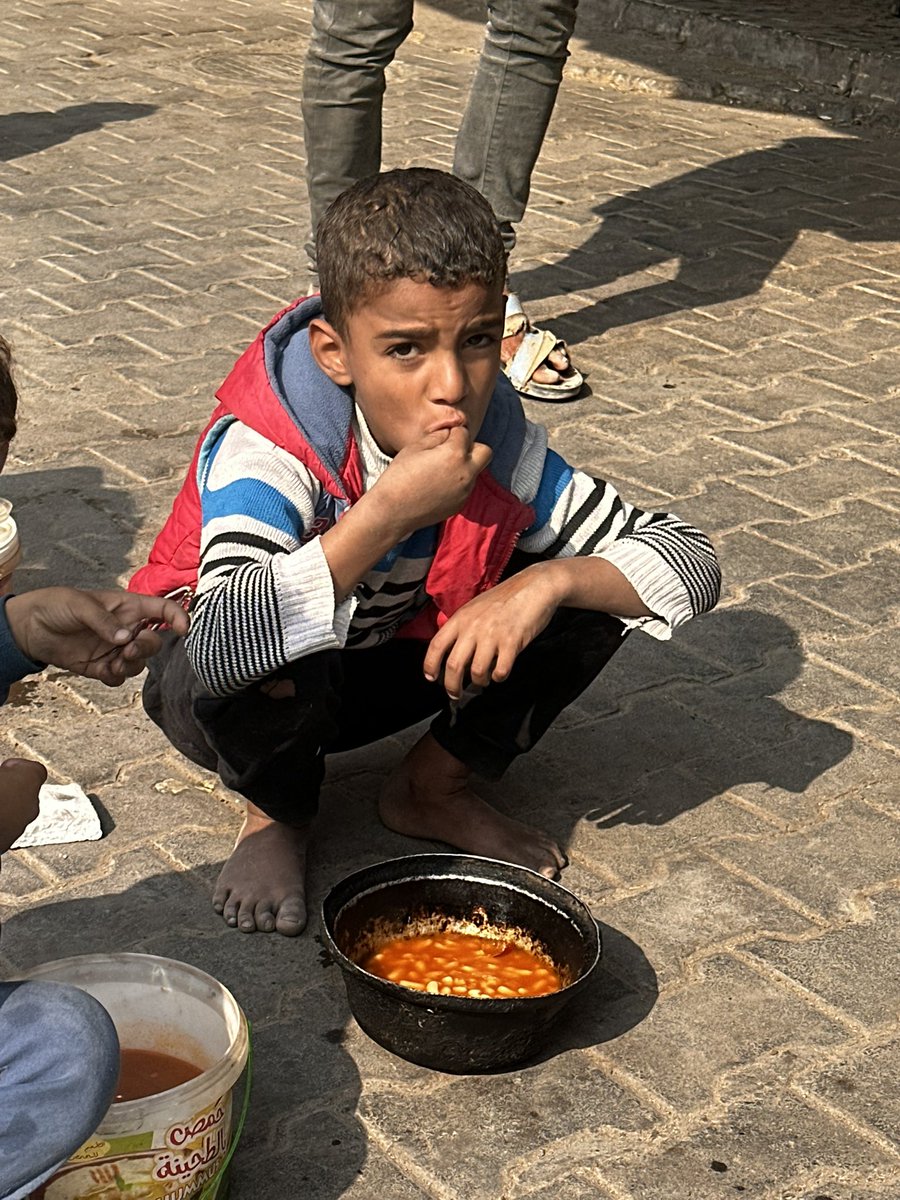 PLEASE DON'T SKIP ME :((

My account has been restricted, 
So, my gfm doesn't appear to everyone! 
Please support my family gfm !!
by sharing and quoting and donating 💔🙏🏻🚨

Please, Leave a comment 🇵🇸 or 🍉
Donate here 🥺🍉⬇️⬇️

gofund.me/87c533fe