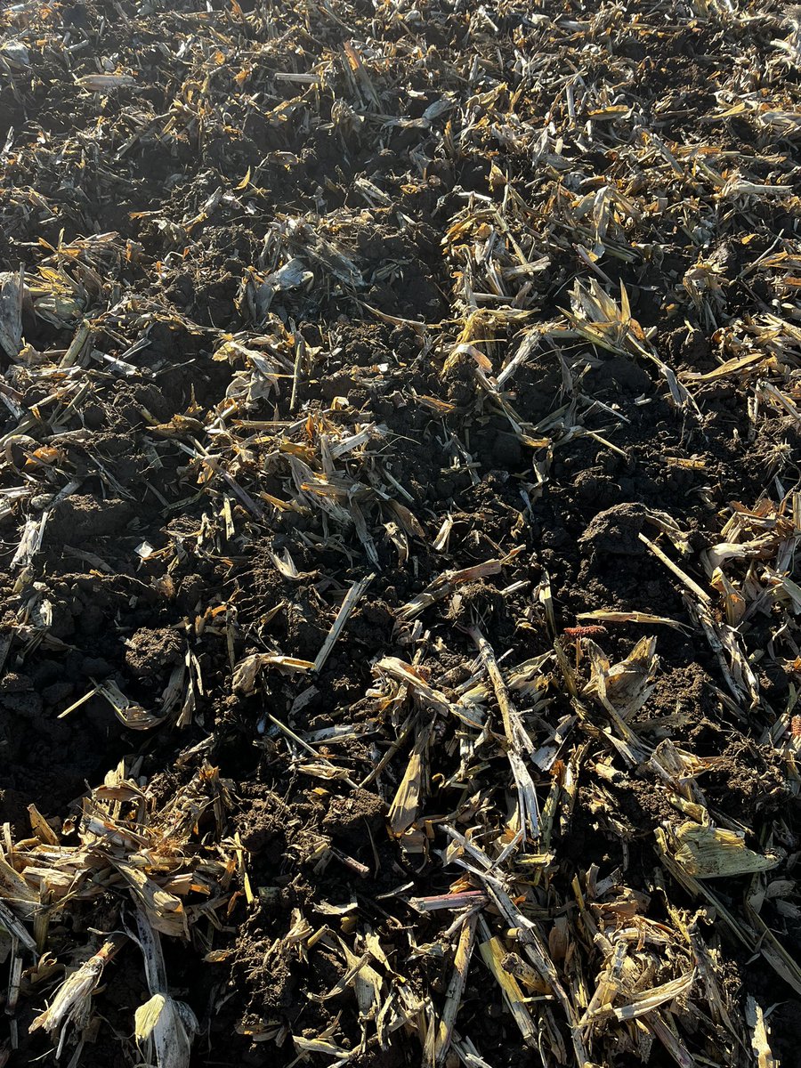 chris_abell_'s tweet photo. Primary tillage is always a big topic. We’re happy with our JD chopping max rolls, followed by a Case 870 running 6-8” with 360 points #ontag #harvest24 https://t.co/8bBpwapGNF