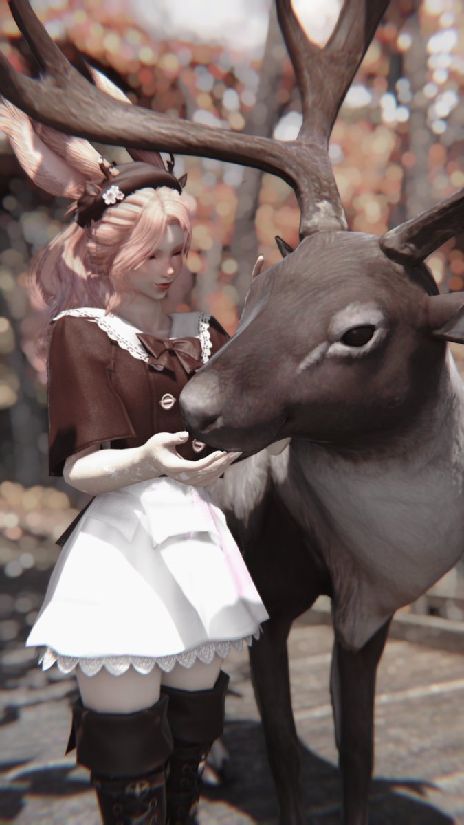 ExieBebe's tweet photo. Haven't gposed in a while, wanted to do something autumn themed and simple
#gposers #exiemods #viera #ff14ss #eorzeaphotos #bamimods #elegymods https://t.co/3QGiYQmRBb