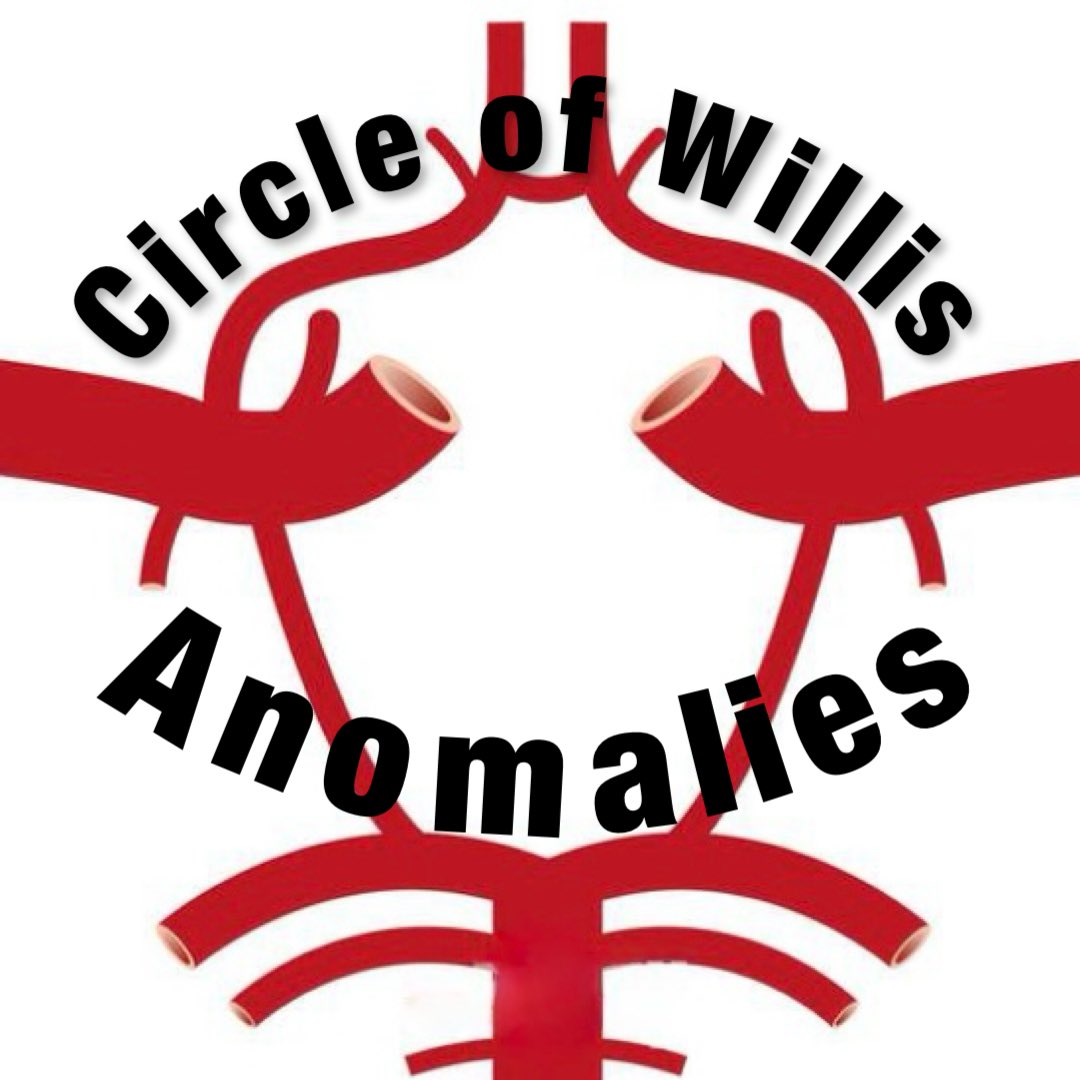 🧠 The Circle of Willis may be a foundational structure, but variations are the rule, not the exception. 

From hypoplasia to persistent fetal patterns, these anomalies shape collateral flow &amp; stroke presentations

Let’s dive into the ones you’ll encounter 👇 #NeuroXtorial