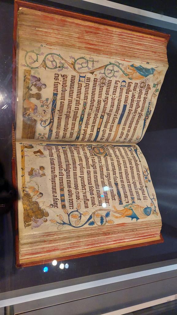 Verity Dove tweet media